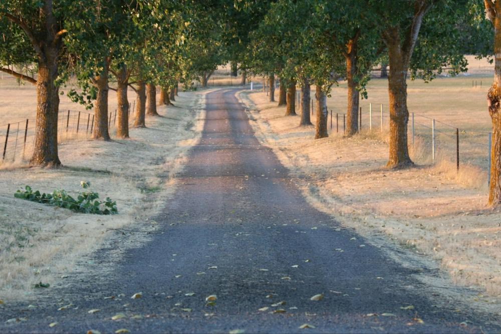 Paving near me