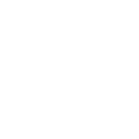 Expert Repair Services